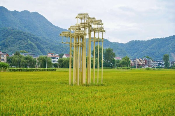 慧眼智行 杭州发布10个特色村落和10条乡村漫步线路